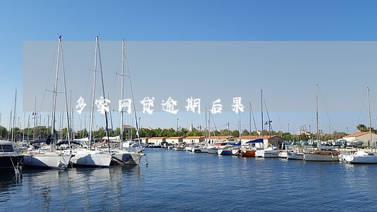 多家网贷逾期后果 多家网贷逾期后果