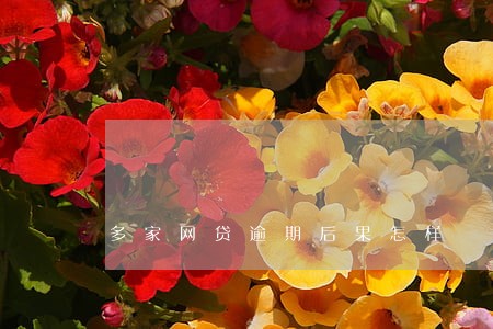 多家网贷逾期后果怎样 多家网贷逾期后果怎样