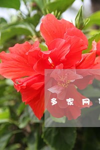 多家网贷逾期无力偿还 多家网贷逾期无力偿还