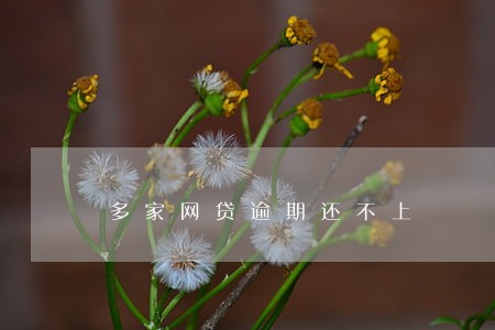 多家网贷逾期还不上 多家网贷逾期还不上