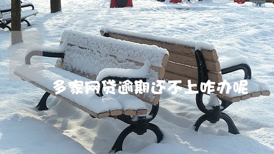 多家网贷逾期还不上咋办呢 多家网贷逾期还不上咋办呢