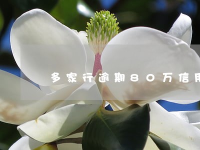 多家行逾期80万信用卡 多家行逾期80万信用卡