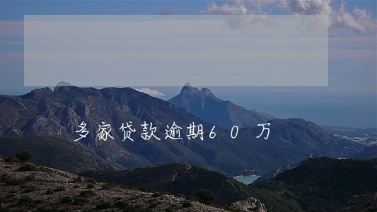 多家贷款逾期60万 多家贷款逾期60万