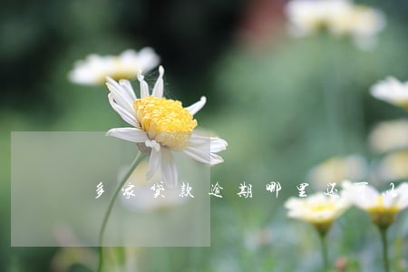 多家贷款逾期哪里还可以借到钱 多家贷款逾期哪里还可以借到钱