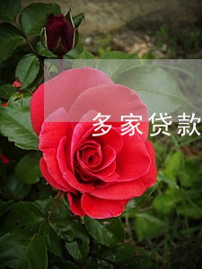 多家贷款逾期坚持三年 多家贷款逾期坚持三年