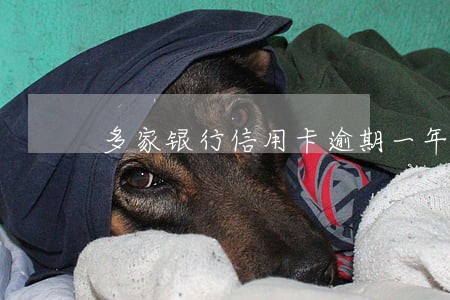 多家银行信用卡逾期一年 多家银行信用卡逾期一年