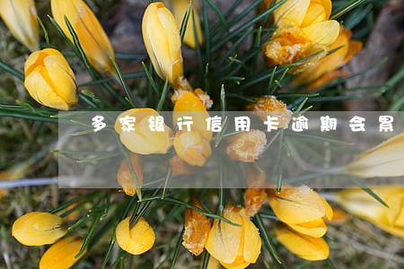 多家银行信用卡逾期会累积吗