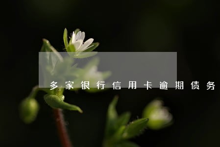 多家银行信用卡逾期债务合并 多家银行信用卡逾期债务合并