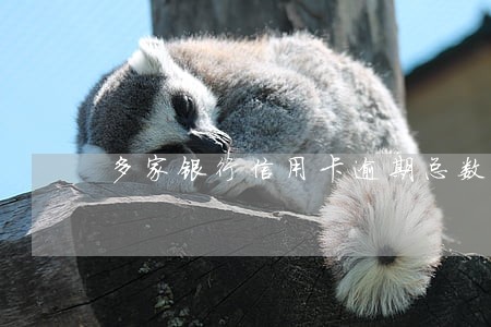 多家银行信用卡逾期总数超五万 多家银行信用卡逾期总数超五万