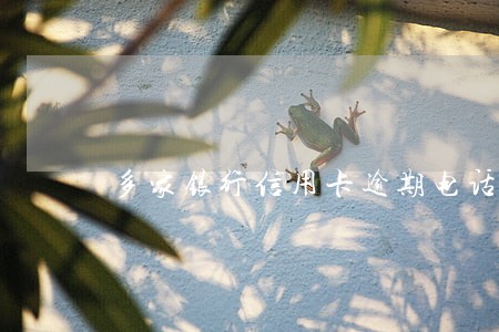 多家银行信用卡逾期电话未接 多家银行信用卡逾期电话未接