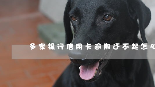 多家银行信用卡逾期还不起怎么办
