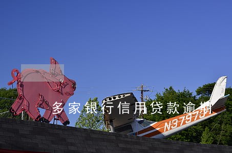 多家银行信用贷款逾期 多家银行信用贷款逾期