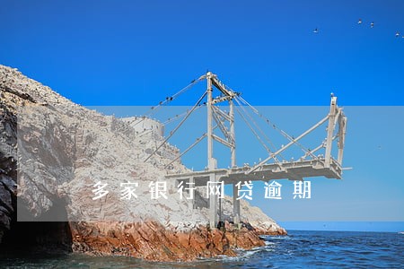 多家银行网贷逾期 多家银行网贷逾期