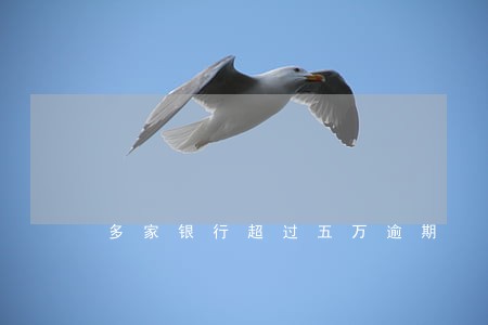多家银行超过五万逾期 多家银行超过五万逾期