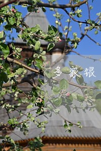 多家银行逾期影响房贷吗 多家银行逾期影响房贷吗