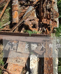 多少人有信用卡逾期
