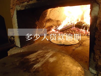 多少人贷款逾期 多少人贷款逾期