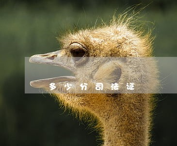 多少分司法证 多少分司法证