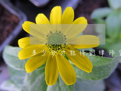 多少分才能得到律师资格证 多少分才能得到律师资格证