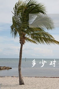 多少对夫妻一对离婚