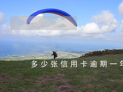 多少张信用卡逾期一年 多少张信用卡逾期一年