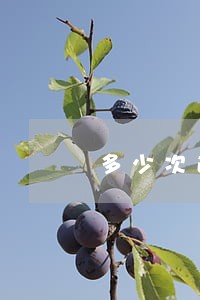 多少次逾期银行不放贷 多少次逾期银行不放贷