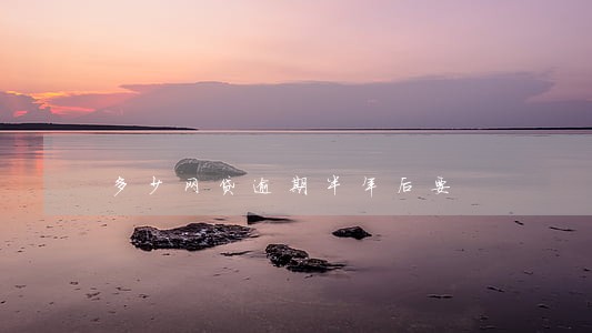 多少网贷逾期半年后要
