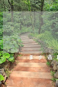 多少逾期会影响贷款吗