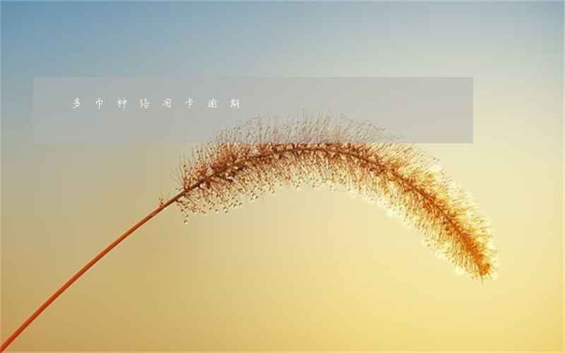 多币种信用卡逾期 多币种信用卡逾期