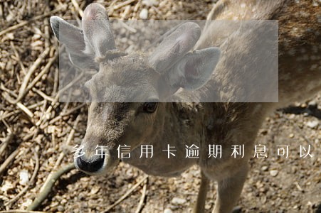 多年信用卡逾期利息可以商量吗 多年信用卡逾期利息可以商量吗