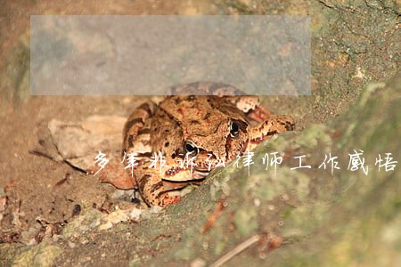 多年非诉讼律师工作感悟 多年非诉讼律师工作感悟