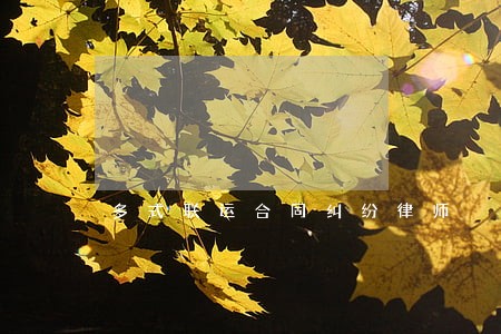 多式联运合同纠纷律师 多式联运合同纠纷律师