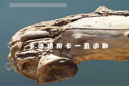 多张信用卡一直逾期 多张信用卡一直逾期