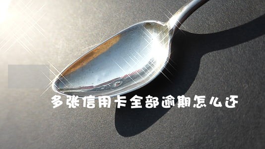多张信用卡全部逾期怎么还