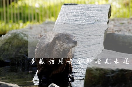 多张信用卡全部逾期未还 多张信用卡全部逾期未还