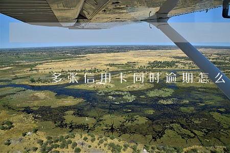 多张信用卡同时逾期怎么处理