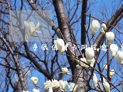 多张信用卡同时逾期要被起诉 多张信用卡同时逾期要被起诉