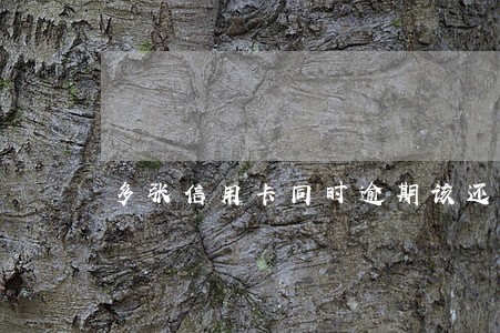 多张信用卡同时逾期该还那个 多张信用卡同时逾期该还那个