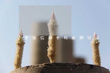 多张信用卡有逾期记录 多张信用卡有逾期记录