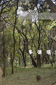 多张信用卡网贷逾期多久会坐牢 多张信用卡网贷逾期多久会坐牢