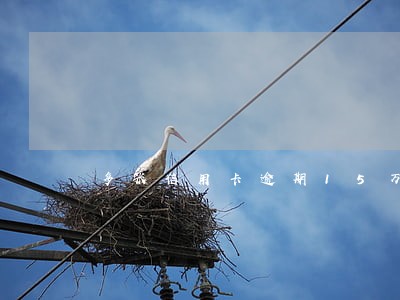 多张信用卡逾期15万后果 多张信用卡逾期15万后果