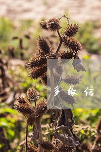 多张信用卡逾期8个月会怎样 多张信用卡逾期8个月会怎样