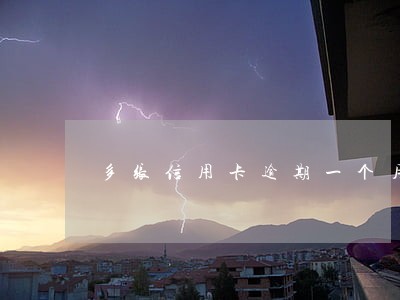 多张信用卡逾期一个月