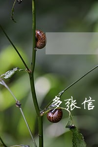 多张信用卡逾期一年后果 多张信用卡逾期一年后果