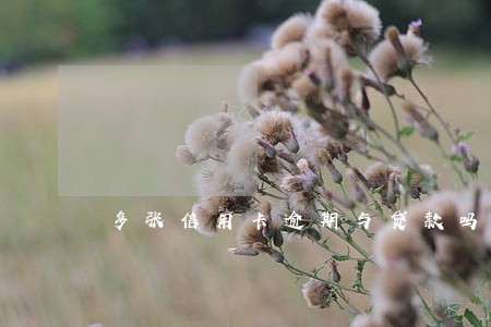 多张信用卡逾期与贷款吗 多张信用卡逾期与贷款吗