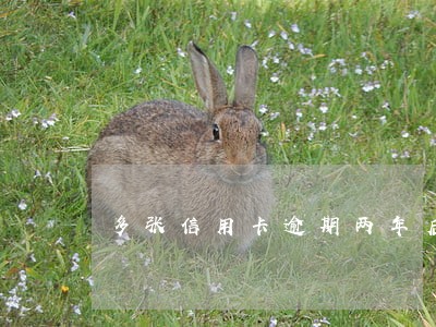 多张信用卡逾期两年后果 多张信用卡逾期两年后果