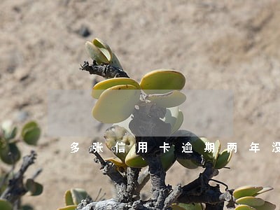 多张信用卡逾期两年没理 多张信用卡逾期两年没理