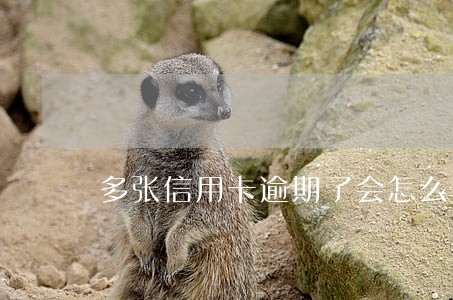 多张信用卡逾期了会怎么样 多张信用卡逾期了会怎么样