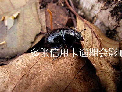 多张信用卡逾期会影响其他卡吗