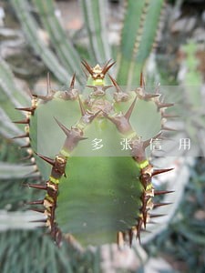 多张信用卡逾期会有什么后果 多张信用卡逾期会有什么后果